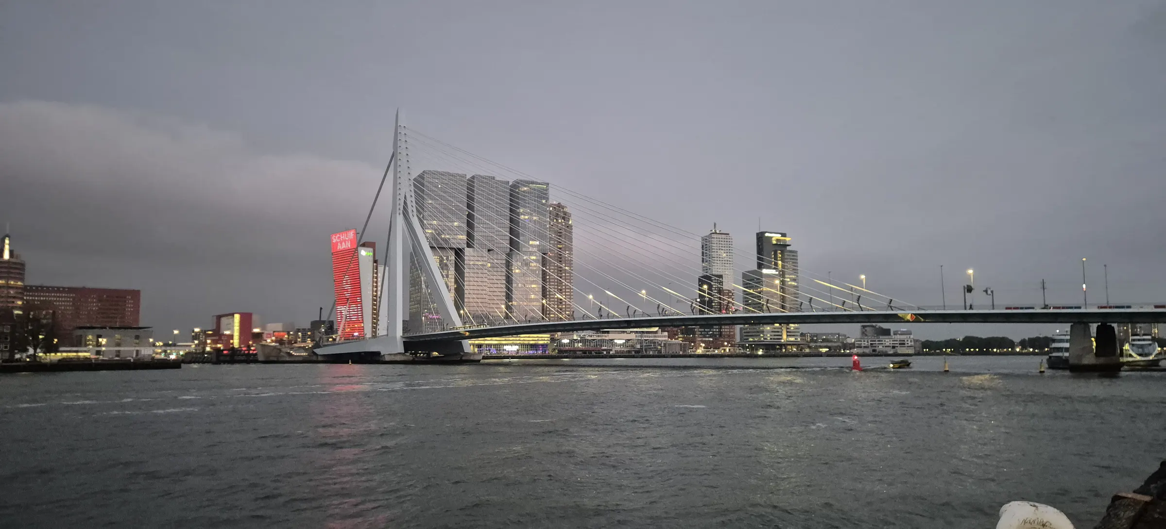 De Erasmusbrug in Rotterdam bij avond
